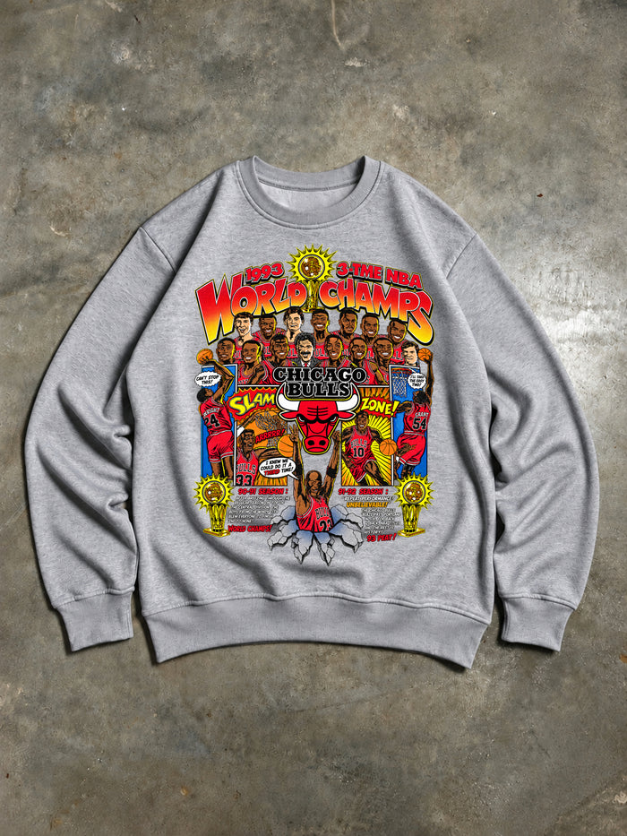 Sudadera gris de los Chicago Bulls, campeones de 1993